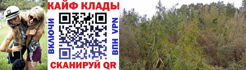 Купить Канабис  СК  МЕФ  Руза