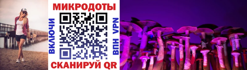 Галлюциногенные грибы Psilocybe  Купить  Руза 